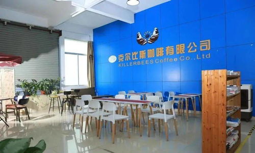 點贊！坦洲一企業入選廣東省工業旅游培育資源庫，文化藝術交流策劃點亮工業新風景