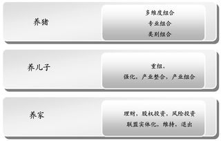 華彩管理咨詢 基于投資與產業組合戰略的集團管控——引領集團類咨詢服務