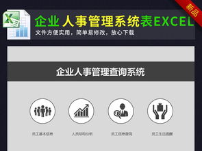 高效人力資源管理解決方案 人事檔案管理系統模板